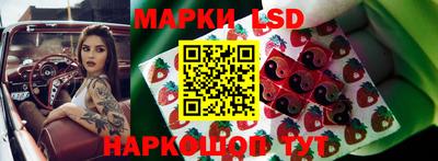spice Заводоуковск