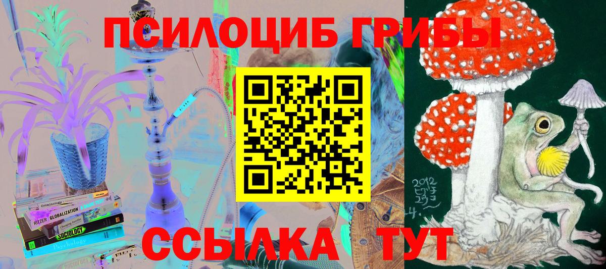 Приморско-Ахтарск  Галлюциногенные грибы прущие грибы  закладки  Вход с VPN 