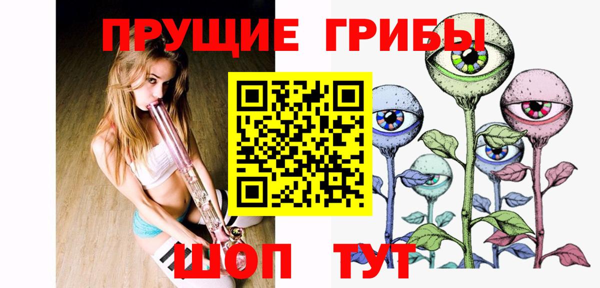 Псилоцибиновые грибы GOLDEN TEACHER Приморско-Ахтарск