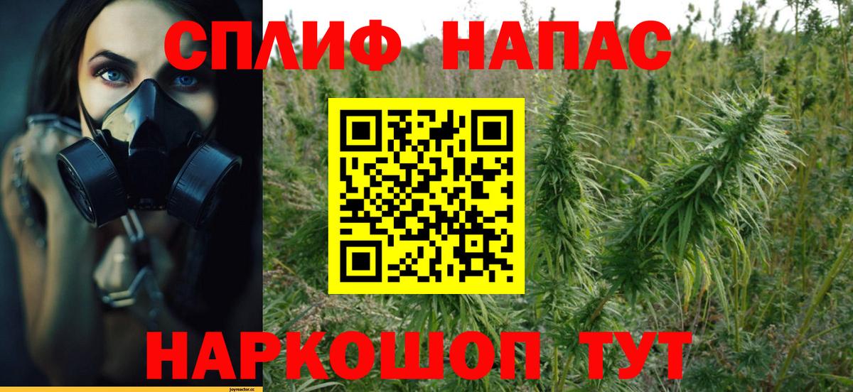 APVP Приморско-Ахтарск